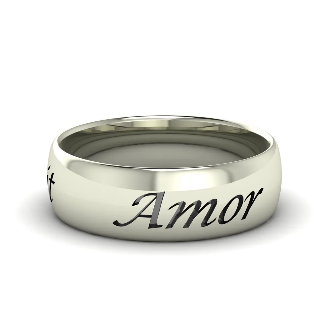 Кольцо "Amor Omnia Vincit"