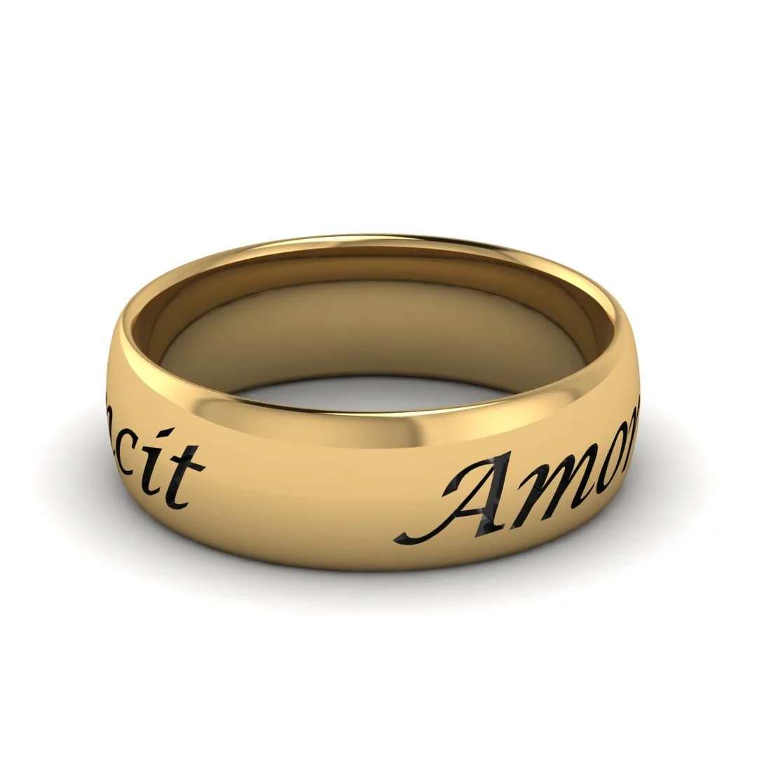 Кольцо "Amor Omnia Vincit"