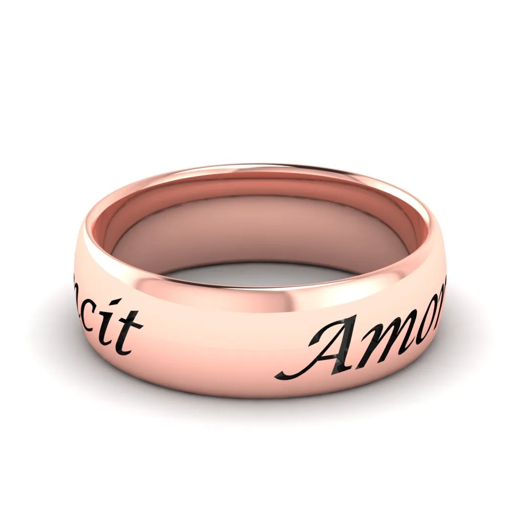 Кольцо "Amor Omnia Vincit"